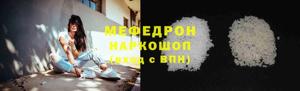соль ск Ельня