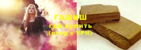 соль ск Ельня