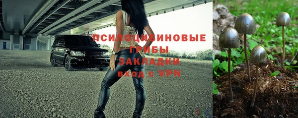 соль ск Ельня