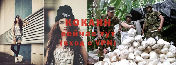 индика Заволжск