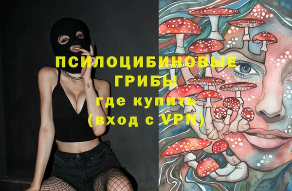 спиды Елабуга