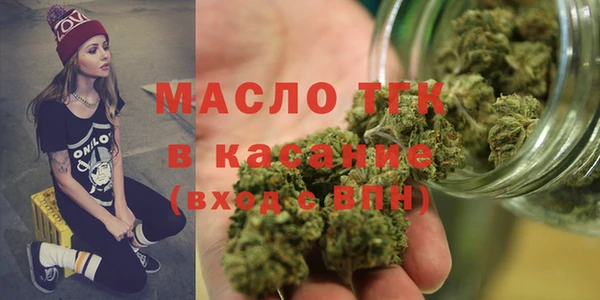 соль ск Ельня